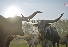 Ab Hof - Luxus