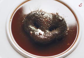 Restaurantlegenden Staffel 1