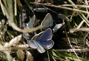 Ab Hof 2025 - ServusTV